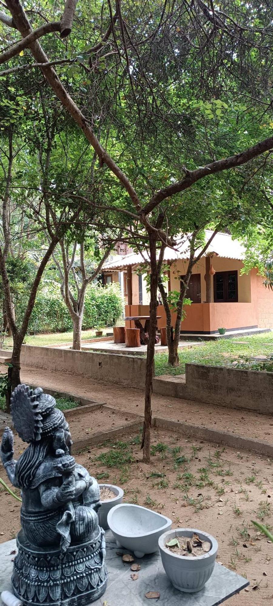 Hotel Niyagala Lodge Sigiriya Exterior foto